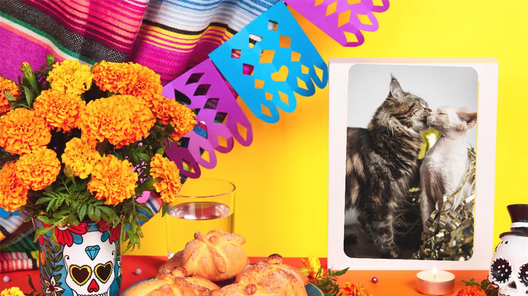Michictlán llega a CDMX con el Miau Fest 2025: celebra Día de Muertos con estos adorables felinos