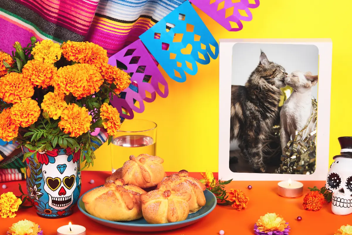 Ofrenda de gatos. Foto: Canva