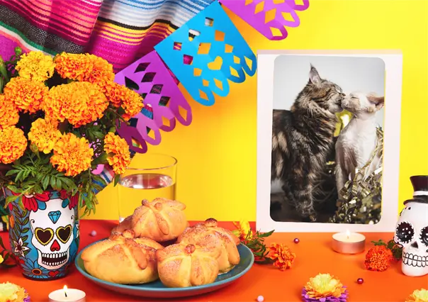 Michictlán llega a CDMX con el Miau Fest 2025: celebra Día de Muertos con estos adorables felinos