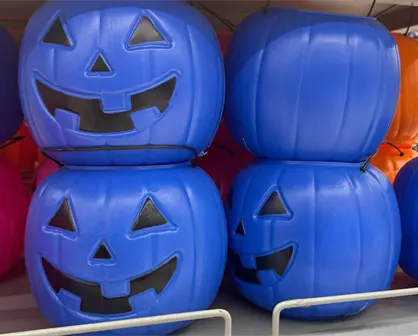 ¿Por qué se usan las calabazas azules en Tamaulipas durante Halloween? Esto se sabe