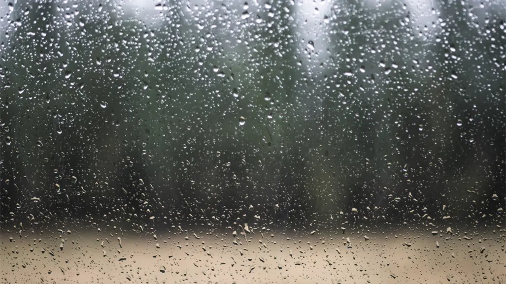 Lluvias y tormentas eléctricas marcarán el clima de Tamaulipas este viernes 26 de septiembre