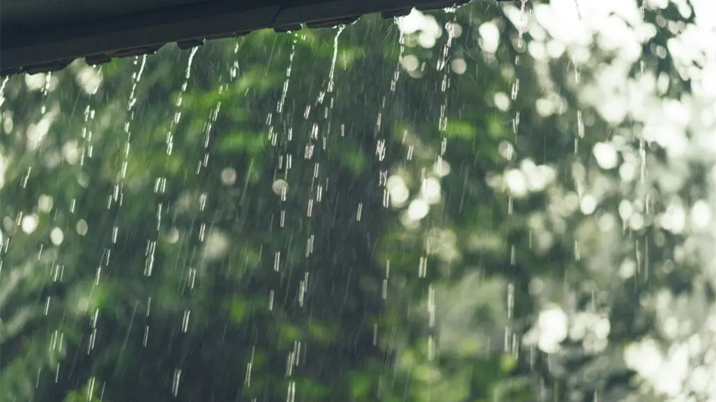 Pronóstico de lluvias se incrementa en Tamaulipas a partir de este jueves 25 de septiembre