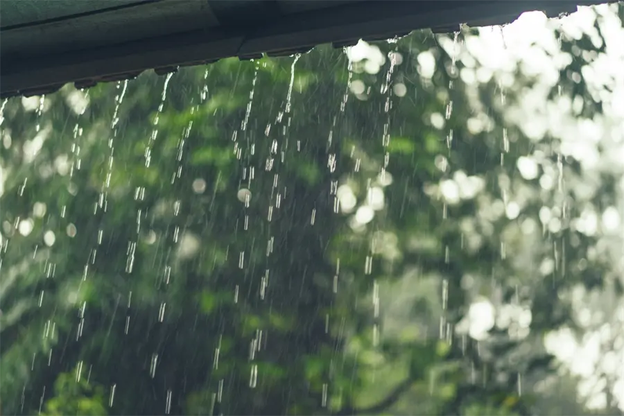Pronóstico de lluvias se incrementa en Tamaulipas a partir de este jueves 25 de septiembre