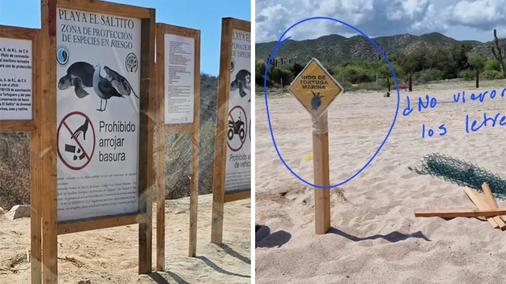 Vehículos destruyen nido de tortuga en Playa El Saltito, pese a señalamientos