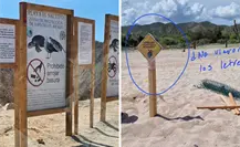 Vehículos destruyen nido de tortuga en Playa El Saltito, pese a señalamientos