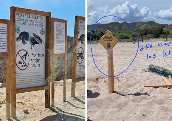 Vehículos destruyen nido de tortuga en Playa El Saltito, pese a señalamientos