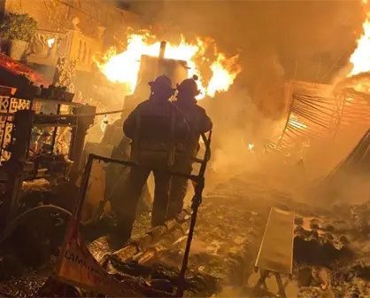 Sofocan incendio en local comercial de Chimalhuacán; rescatan a tortugas atrapadas