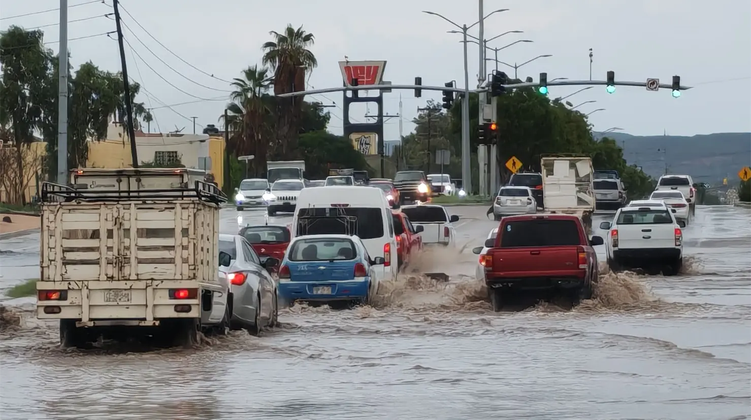 Foto: Héctor Romero / POSTA Baja California Sur.
