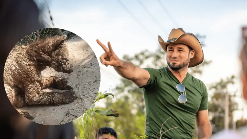 Glen Zambrano asegura se trabaja en salud de osa enferma