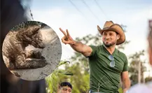Glen Zambrano asegura se trabaja en salud de osa enferma