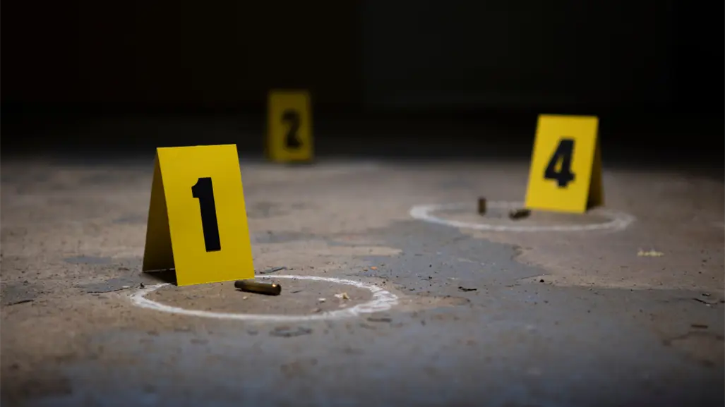 25 de septiembre de 2025 día con la cifra más baja en homicidios en 7 años, afirma gobierno federal