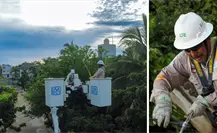 Restablecen energía tras apagón en la Península de Yucatán: afectó a más 2 millones de personas