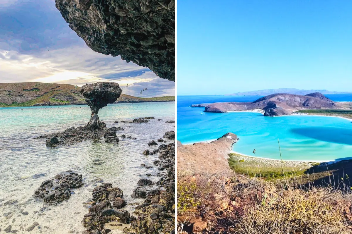 Foto: Rosalva Castro / POSTA Baja California Sur | @PostBajaSur / X