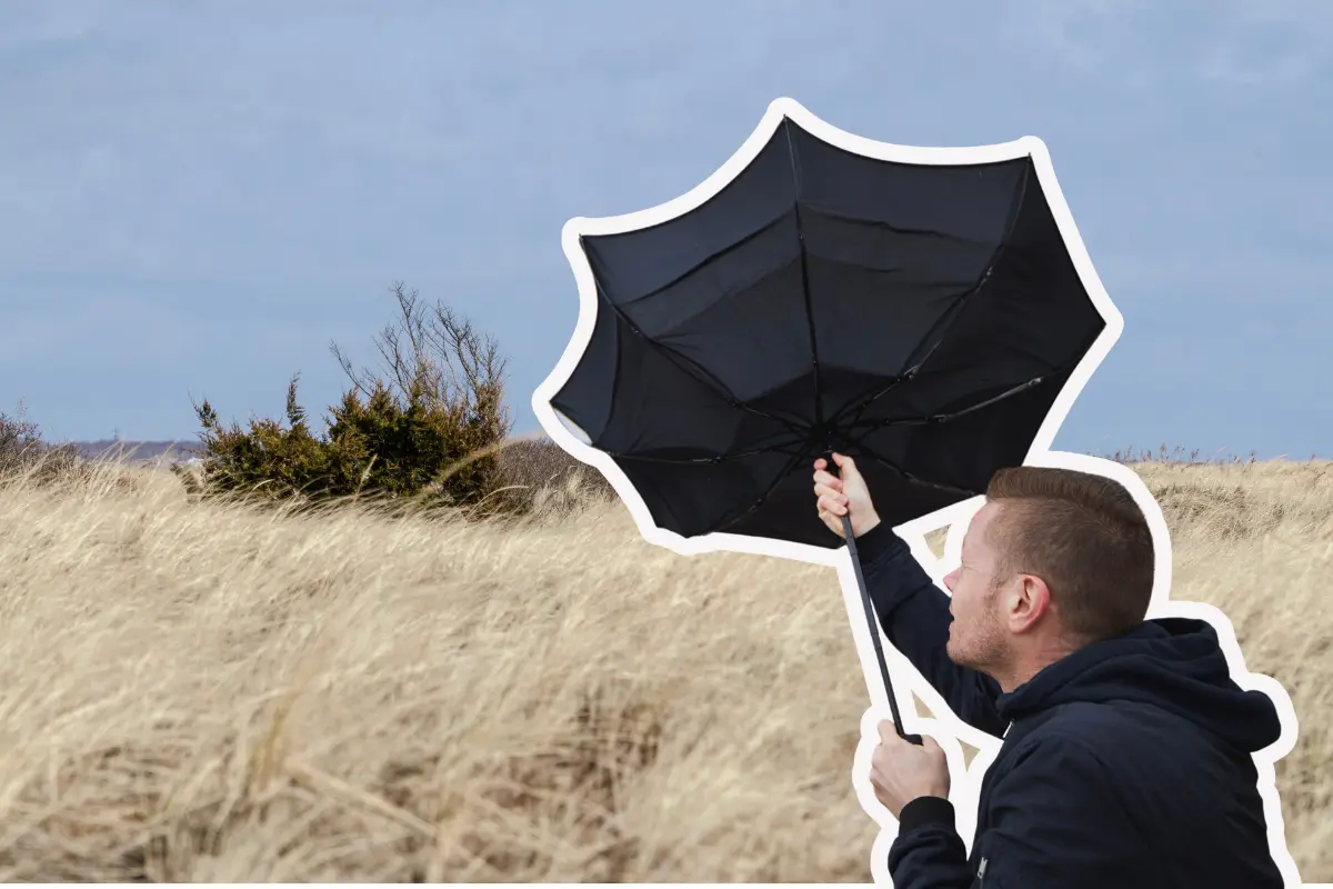 En caso de emergencia, la recomendación es llamar de inmediato al 911./Foto: Canva