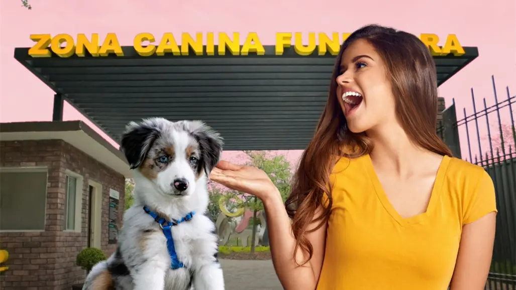¿Sabías que existe un parque petfriendly en Monterrey? el lugar ideal para pasear a tu perro