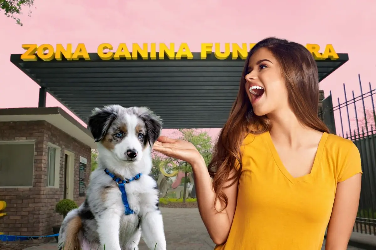 Mujer y un perrito Foto: Canva