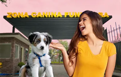 ¿Sabías que existe un parque petfriendly en Monterrey? el lugar ideal para pasear a tu perro