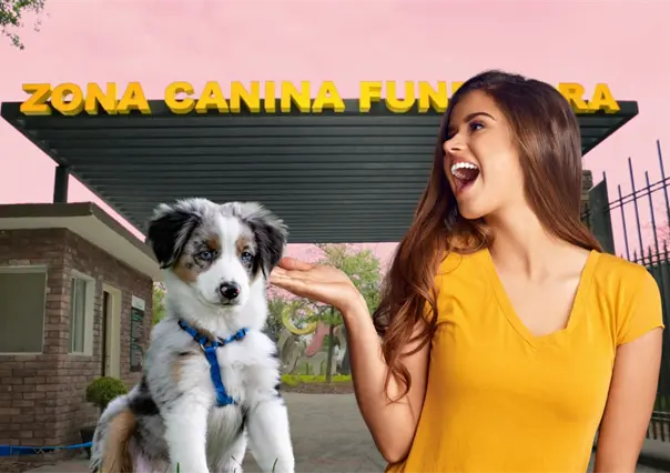 ¿Sabías que existe un parque petfriendly en Monterrey? el lugar ideal para pasear a tu perro