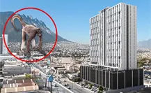 Mono araña aparece en empresa de Monterrey