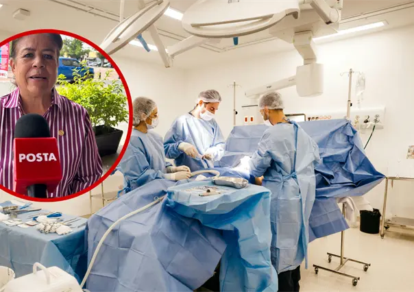 Ley Nicole es necesaria para cubrir vacíos legales, advierte senadora de Morena por Durango