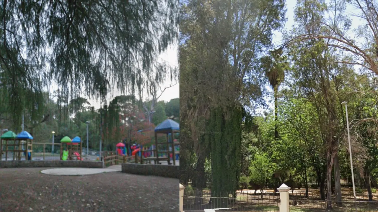 Foto: Google Maps | Este es el único alimento saludable que encuentras a la venta en el Parque Guadiana.
