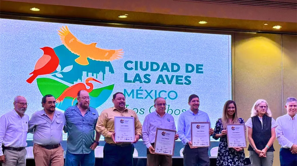 Los Cabos es reconocido como Bird City, distinción internacional por sus aves