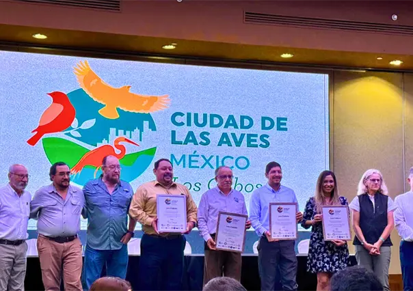 Los Cabos es reconocido como Bird City, distinción internacional por sus aves