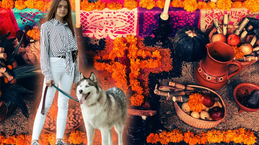 Día de Muertos 2025: ¿El parque temático Xantoluz es petfriendly?