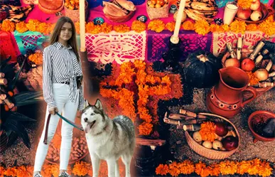 Día de Muertos 2025: ¿El parque temático Xantoluz es petfriendly?