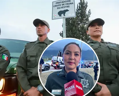 Crece en Saltillo número de avistamientos de serpientes en la zona urbana