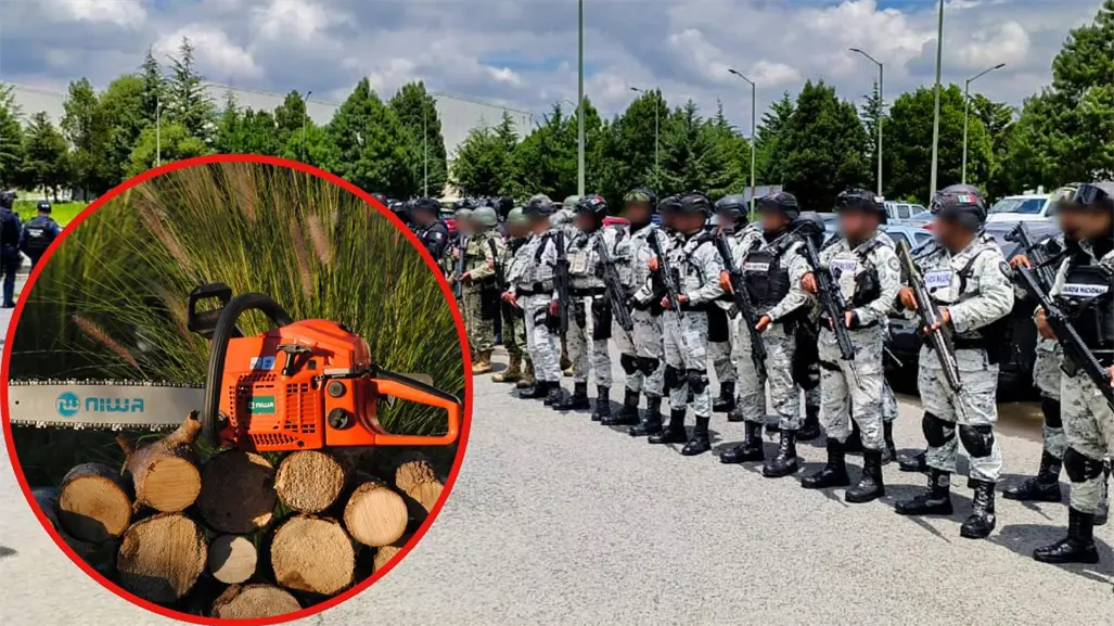 Por tala ilegal de árboles en Edomex prevén llegada de Guardia Nacional en Ocuilan para frenar daños