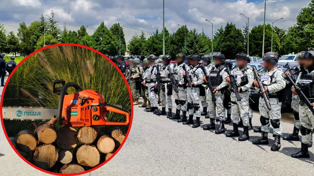 Por tala ilegal de árboles en Edomex prevén llegada de Guardia Nacional en Ocuilan para frenar daños. Foto: @PROFEPA_Mx