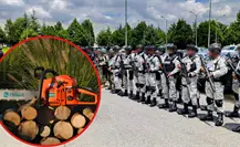Por tala ilegal de árboles en Edomex prevén llegada de Guardia Nacional en Ocuilan para frenar daños