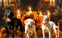 Día de Muertos en Tamaulipas: ¿Cuándo se pone el altar para las mascotas?