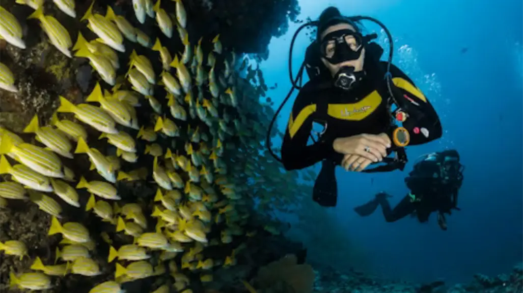 Golfo de México: Atractivo para el buceo en Tamaulipas