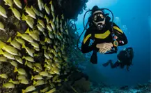 Golfo de México: Atractivo para el buceo en Tamaulipas