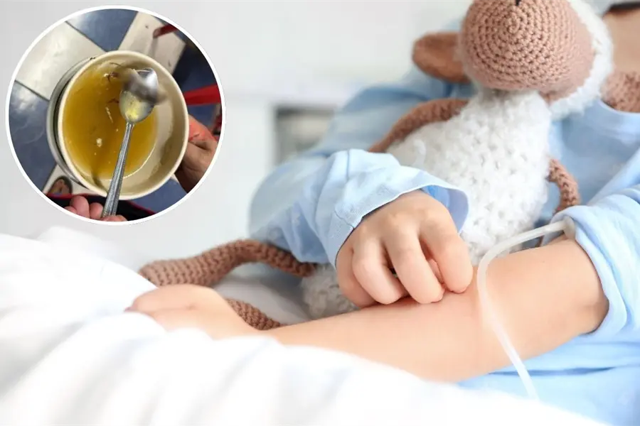 Niña hospitalizada tras comer caldo con ratón en Progreso