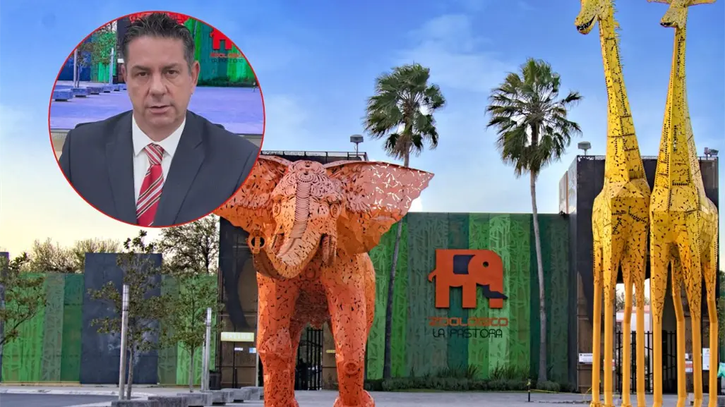 Director del Parque Fundidora ofrece declaración sobre la salud de Mina, la osa de La Pastora