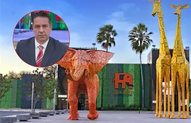 Director del Parque Fundidora ofrece declaración sobre la salud de Mina, la osa de La Pastora