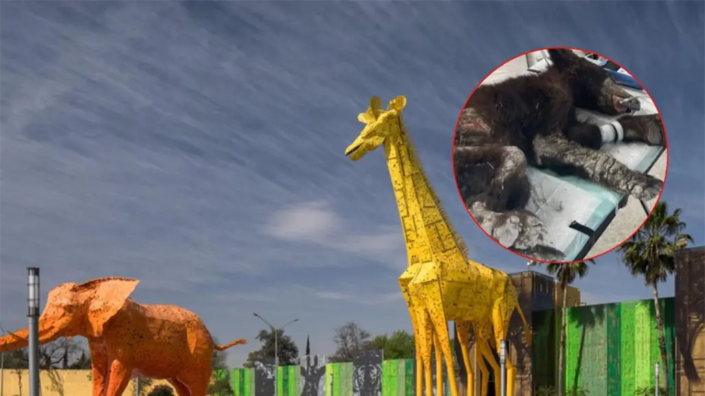 Destituyen al director del Zoológico La Pastora