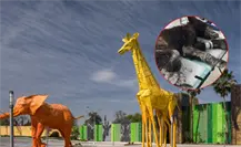 Destituyen al director del Zoológico La Pastora