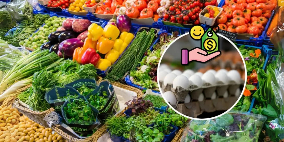 ¿Quieres comprar huevo al mejor precio? Esto dice Profeco | Foto: Imagen ilustrativa - Canva