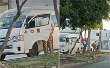 Chofer es inhabilitado en Quintana Roo tras agredir a taxista con discapacidad