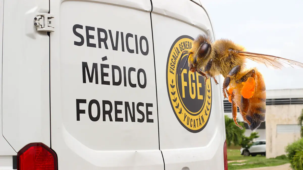 Dos de los lesionados fueron trasladados al Hospital OHorán Foto: POSTA Yucatán