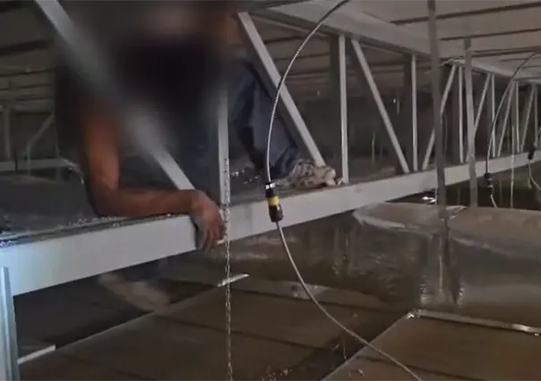 Intenta robar Oxxo en Saltillo y lo atrapan en ducto de ventilación