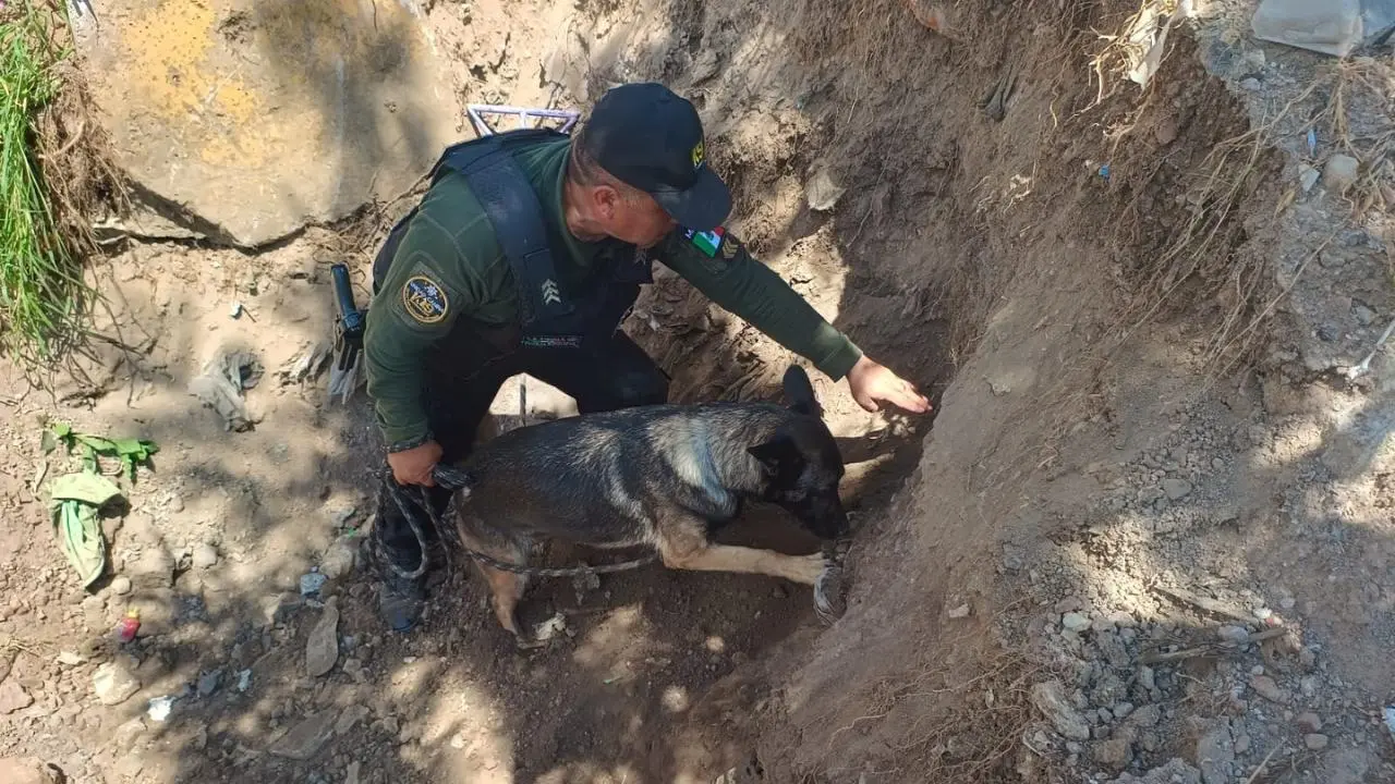 Autoridades intensifican búsqueda de desaparecido en el bordo de Xochiaca. Foto: @SS_Edomex