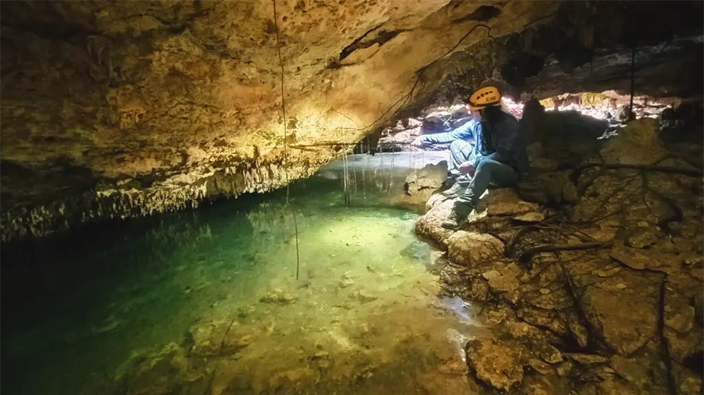 Playa del Carmen alerta por aguas negras que contaminan cenotes y acuífero