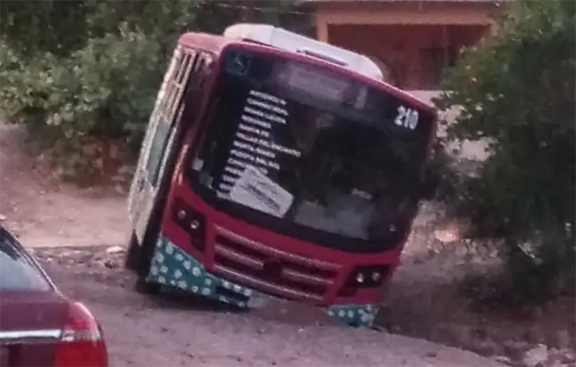 Vecinos reaccionaron en redes sociales tras el paso del tiburón urbano por la zona. Foto: El Zalate Noticias