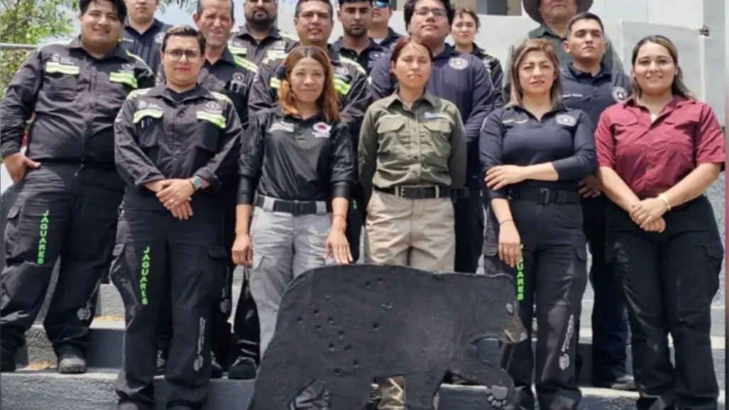 Santa Catarina lanza campaña de prevención y protección de osos