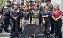 Santa Catarina lanza campaña de prevención y protección de osos